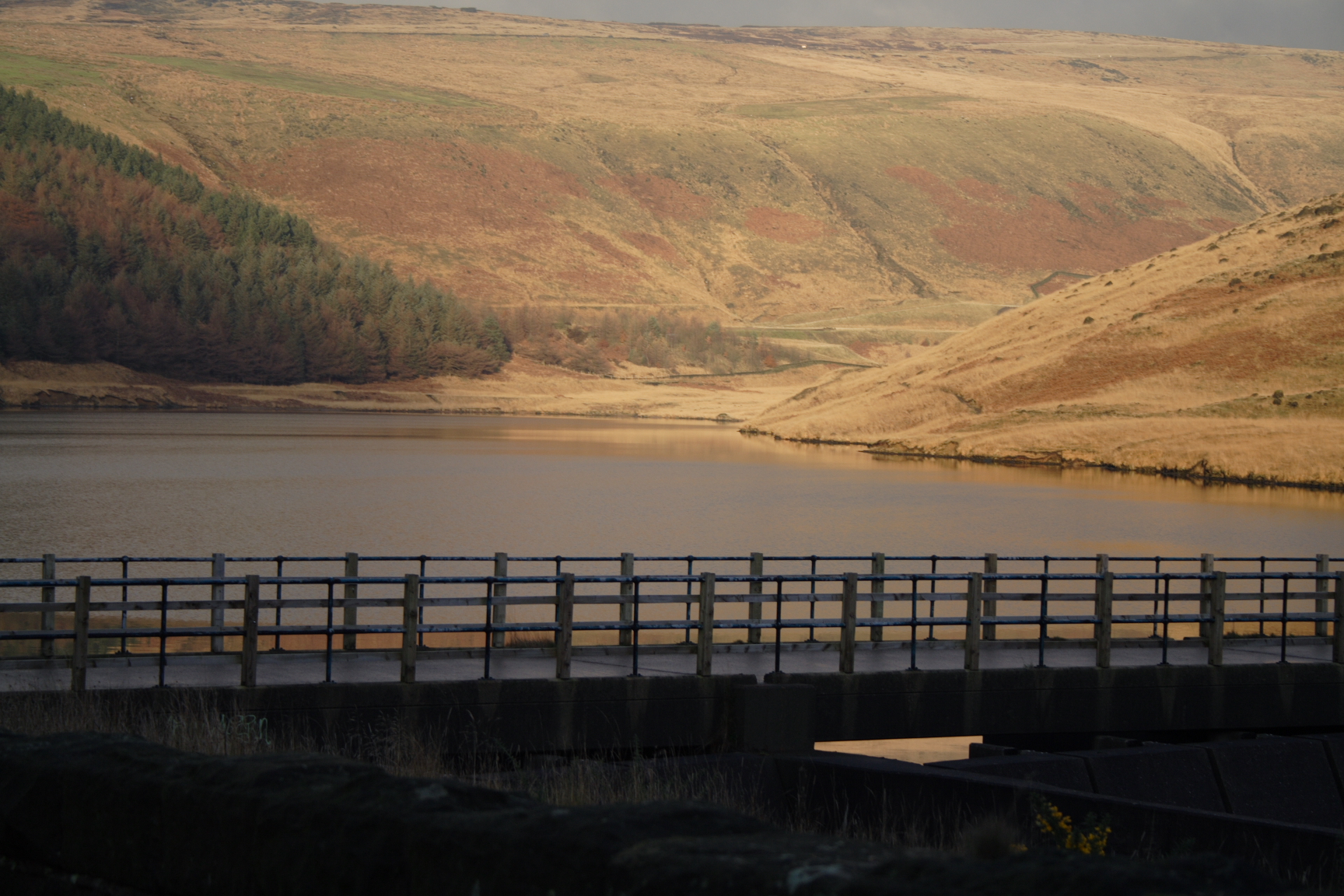 dovestones043