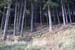 dovestones034